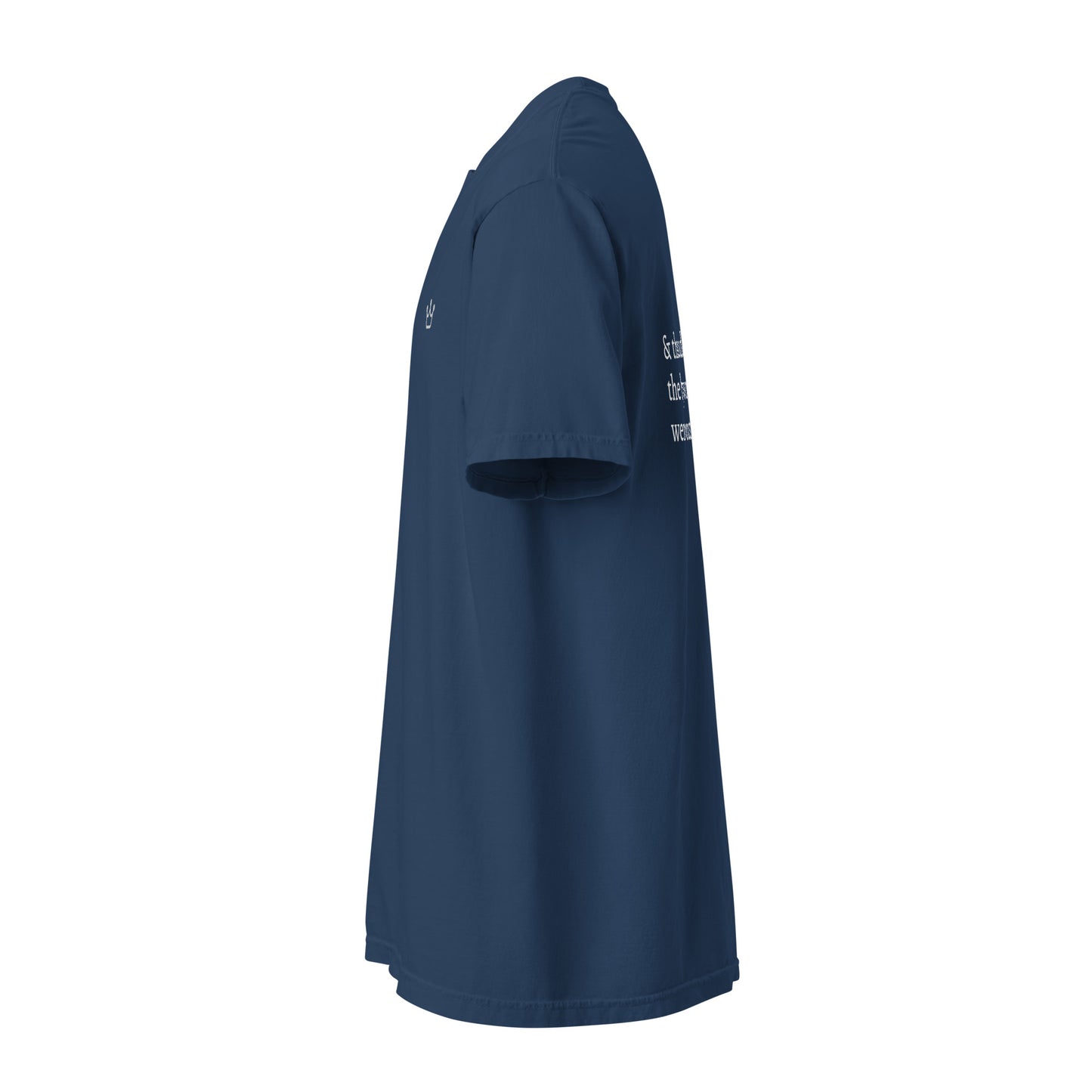 Bollywood Songs - Unisex Adult Tee