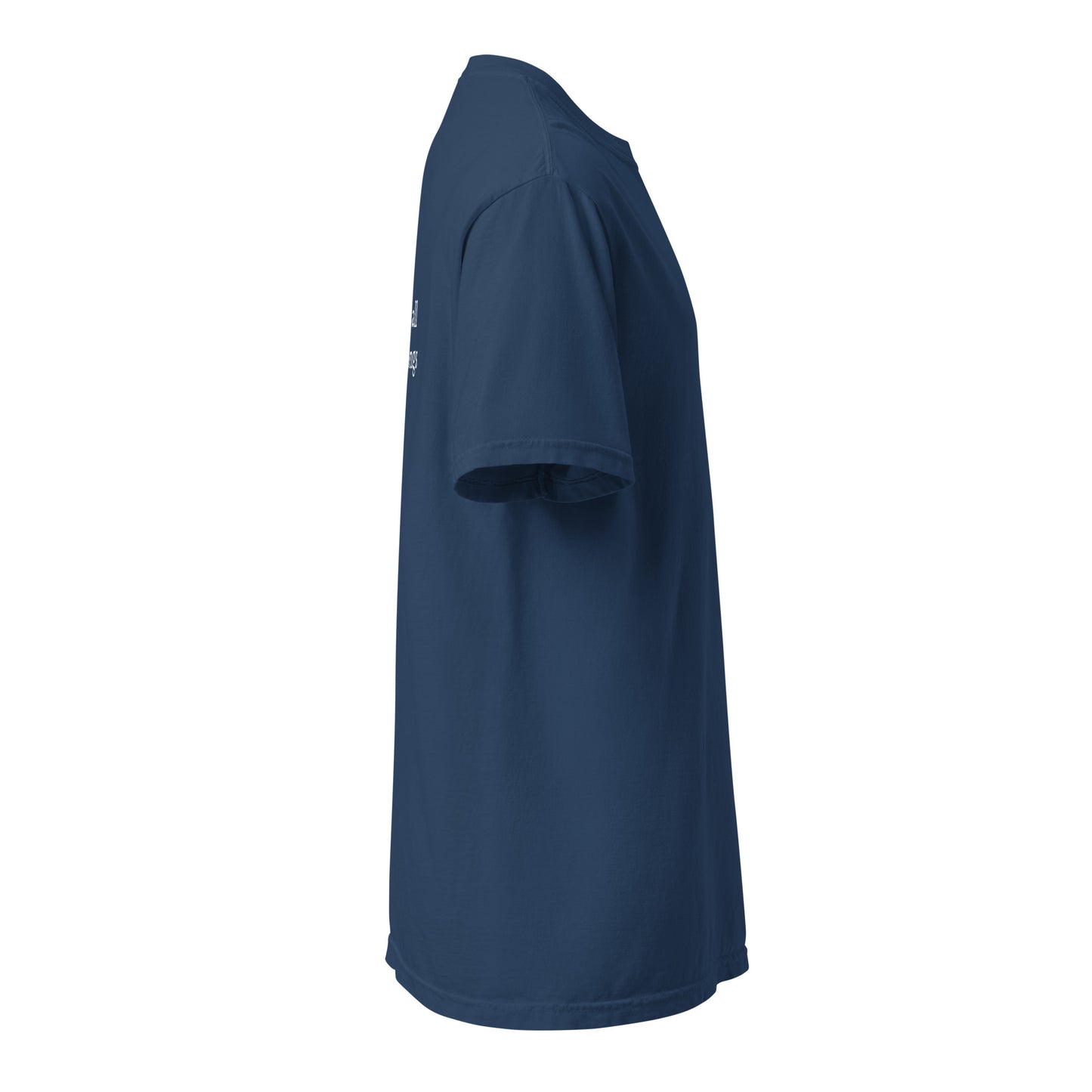 Bollywood Songs - Unisex Adult Tee