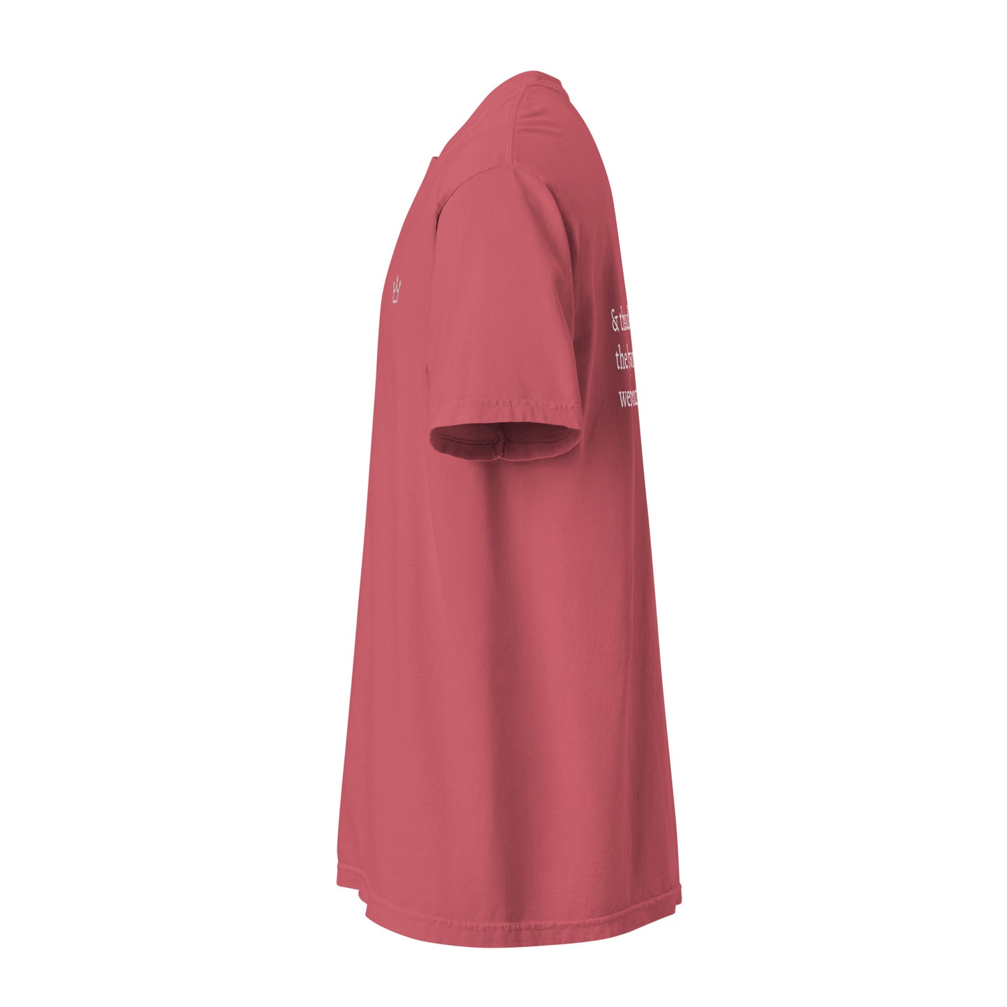 Bollywood Songs - Unisex Adult Tee