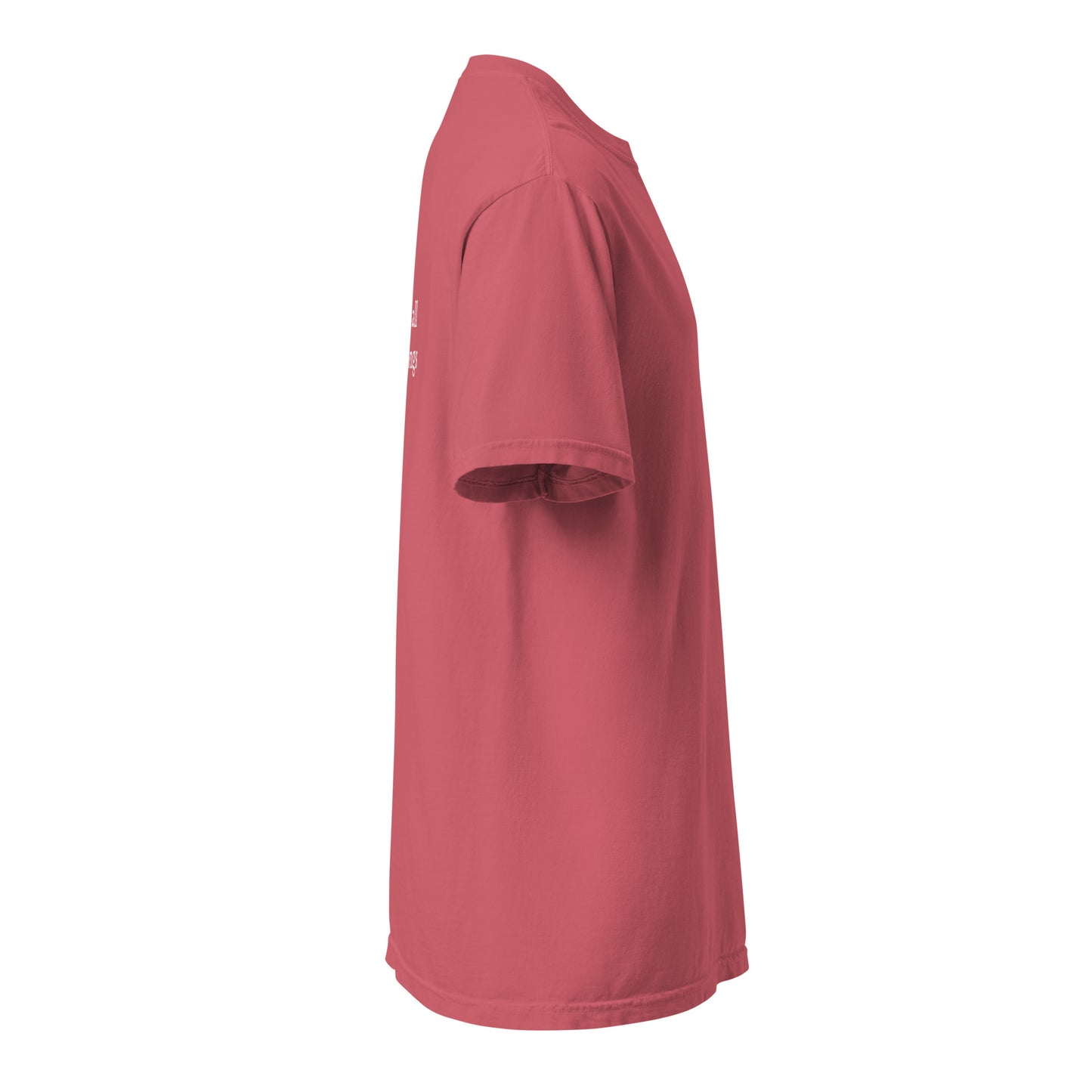 Bollywood Songs - Unisex Adult Tee